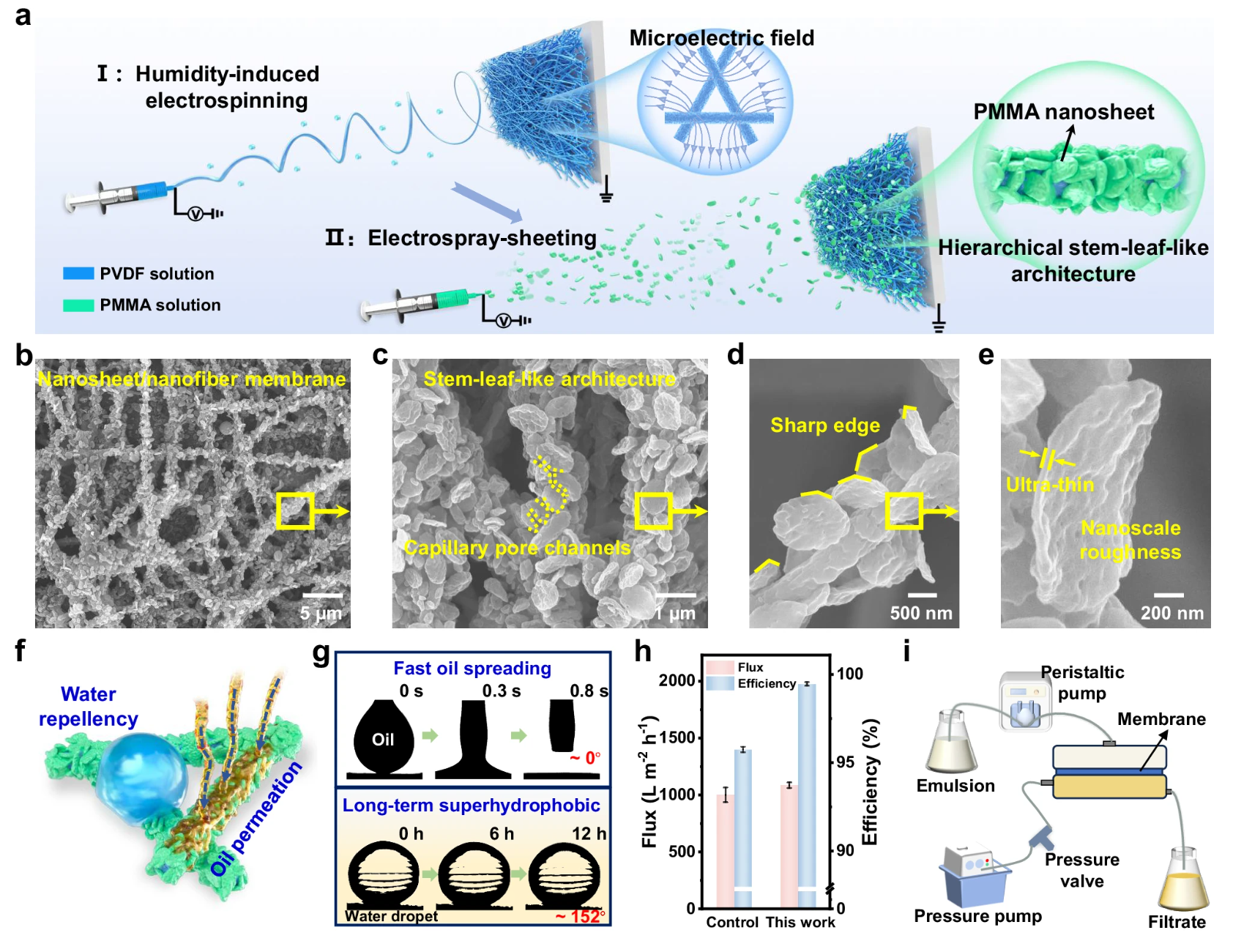 3篇《Nature Communications》！“静电纺丝纳米纤维”最新研究成果